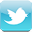 footertwitter